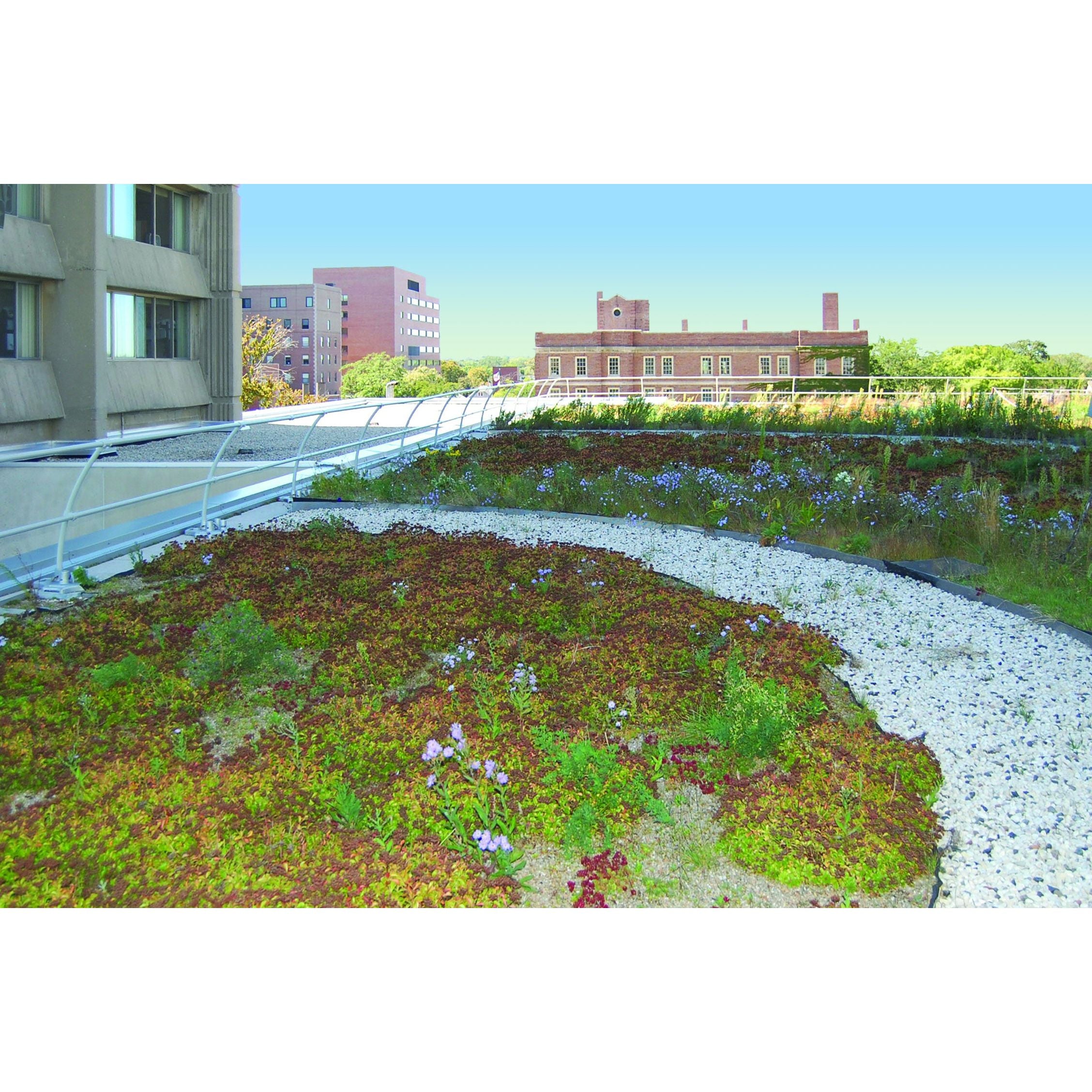 Blue Water-Architectural Series Roof Guardrail System